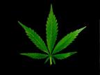Potanist's Avatar